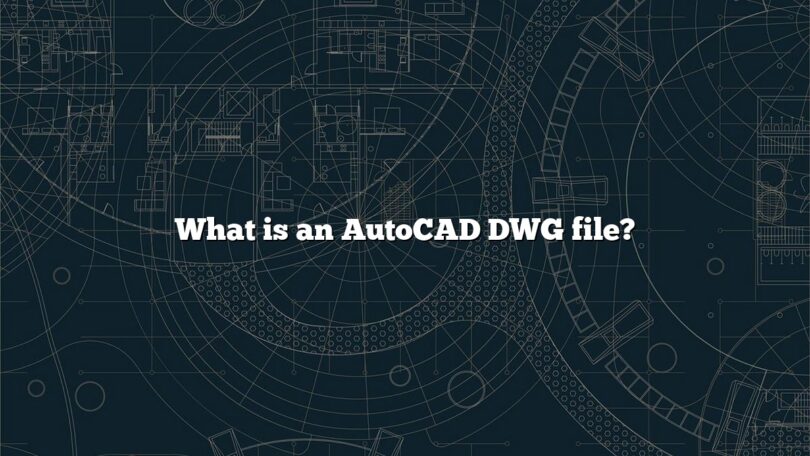 What is an AutoCAD DWG file?